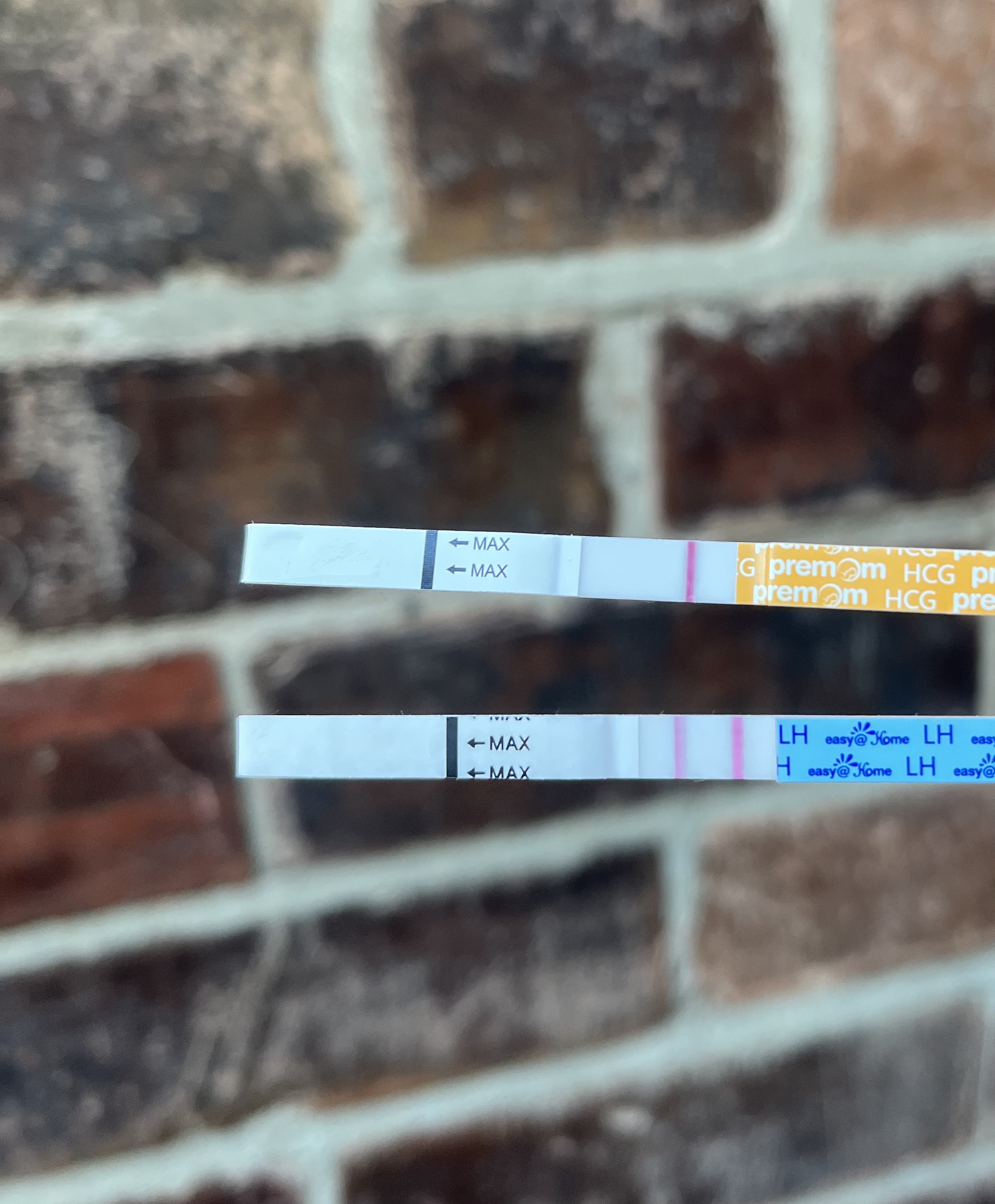 5 DPO - The Dreaded Two Week Wait 