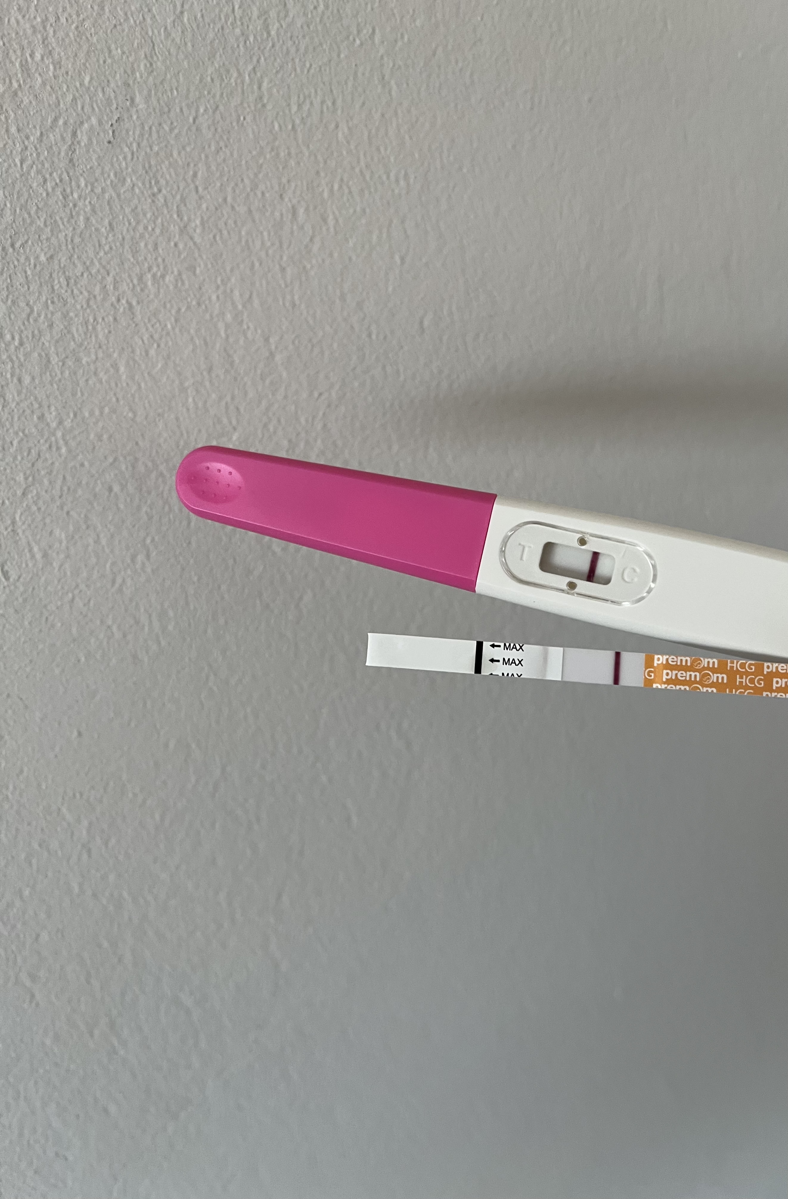 14 DPO TODAY 
