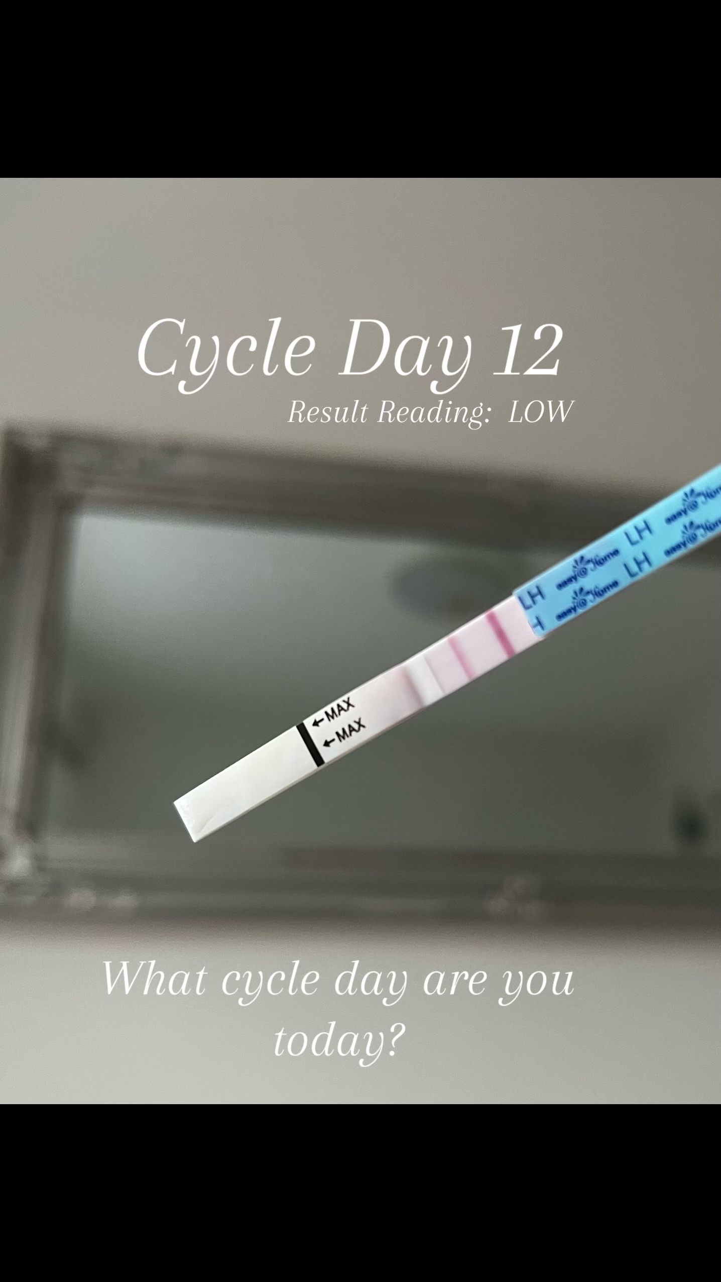 Cycle Day 12 🌷 