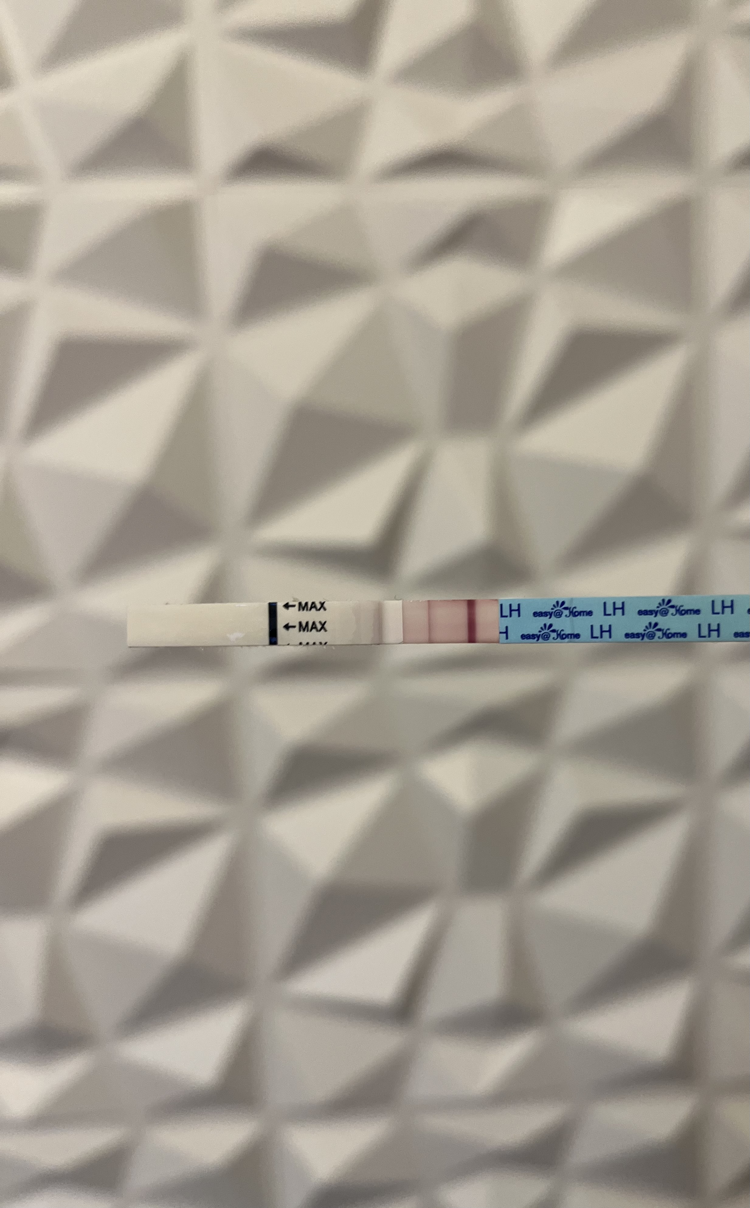 1DPO!  - Today is the beginning of past ovulation 